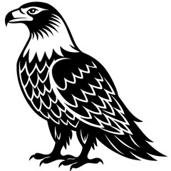 Eagle bird vector line art and linocut illustration
