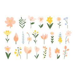 A delightful collection of floral illustrations showcasing a variety of colorful flowers in a modern, minimalist style. Ideal for spring and summer designs, seasonal celebrations, and festive decorati