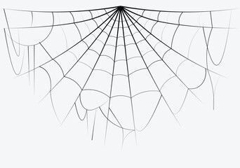 Fototapeta premium halloween spider web elements