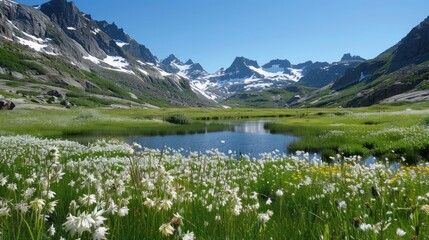 A tranquil meadow filled with wildflowers and surrounded by snow-capped peaks. 