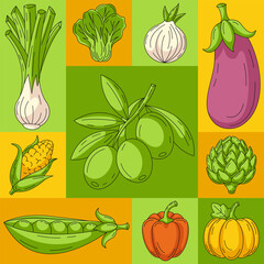 Vector geometric modern square poster, eco veggies icons. Fresh and healthy farm vegetables, natural food. Minimal abstract layout for banner, menu, cover, farmers market, brochure, social media