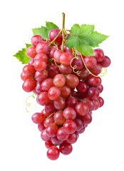 Red grape cluster with leaves isolated on white background.