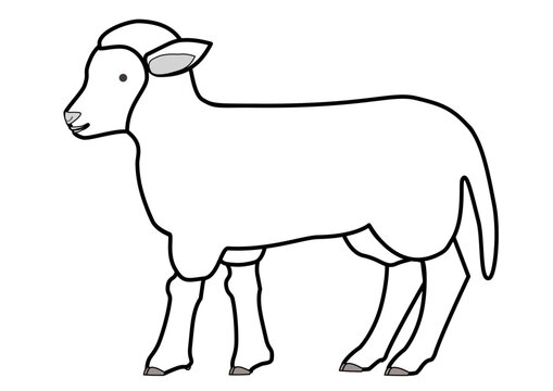 recommend clip art: Line art of a lamb seen from the side