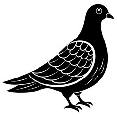dove of peace