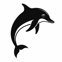 dolphin illustration