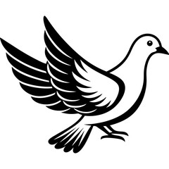 dove of peace vector