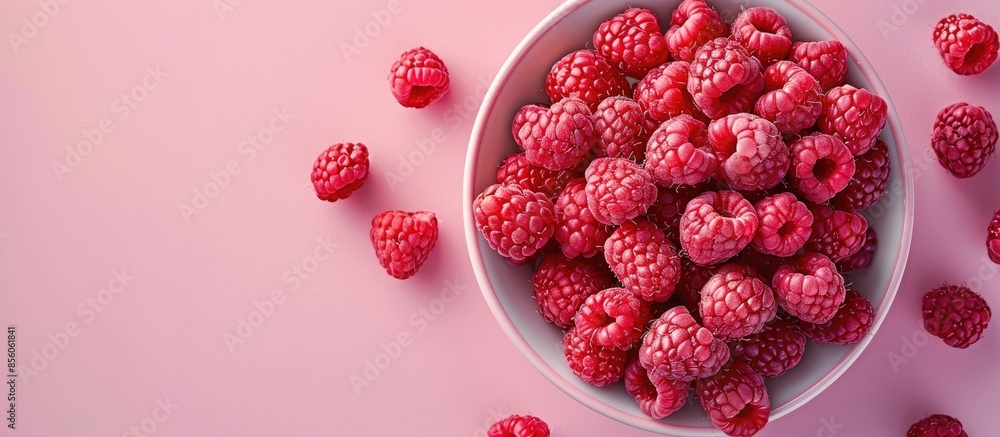 Leinwandbilder Raspberry Isolated on pastel background  Food  Summer. with copy space image. Place for adding text or design