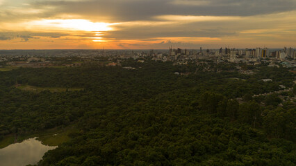 Fototapeta premium Cascavel