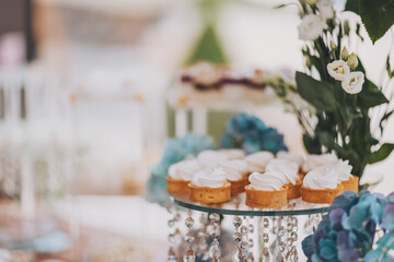 Candy bar. Table with sweets, candies, dessert. cakes and berries in the candy bar. Candy bar with delicious mini cakes, selective focus. Luxury wedding candy bar close-up of cakes