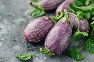 Fresh Organic Purple Eggplants on Grey Background