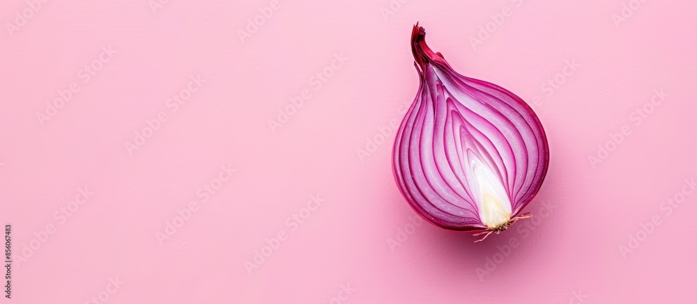 Poster red sliced onion isolated on pastel background. food. with copy space image. place for adding text o
