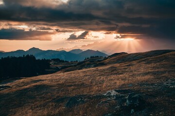 There is a large grass field in the foreground with a forest of pine trees on the left and mountains in the background. The sky is dark with storm clouds and there are rays of sunlight shining through