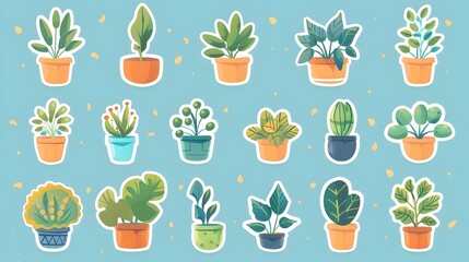 Assortment of Potted Plants and Cacti for Cozy Interiors