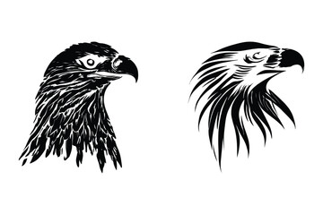 silhouette image of an Eagle