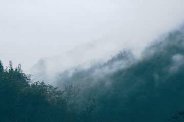 Fototapeta premium Misty mountain landscape with dense forest and fog enveloping the peaks, creating a serene and mysterious atmosphere.