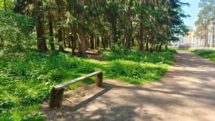 A homemade bench made of wooden stakes and one board is set along a dirt path in a city park. Grass and coniferous trees grow around it, and residential buildings stand behind it. Sunny summer weather