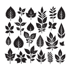 Leaf collection - vector silhouette