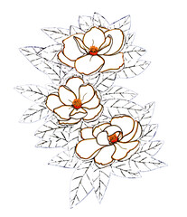 Isolated large white magnolia flowers with red outline on a lush solid background of stripped leaves. The floral pattern symbolizes tenderness, fidelity and love. Spring bloom nature for coloring book