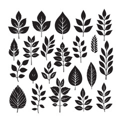 Leaf collection - vector silhouette