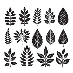 Leaf collection - vector silhouette