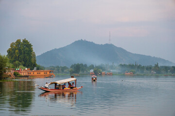 Yellow boat with white canopy peacefully floating on the Dal Lake, Srinagar, Kashmir, India