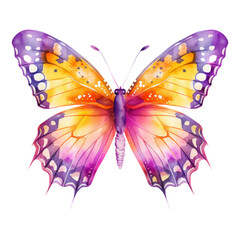 pink orange butterfly watercolor isolated on transparent background cutout