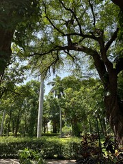 park in the park
