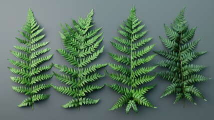Obraz premium A group of green plants on a gray surface, suitable for use in presentations or articles about nature and the outdoors