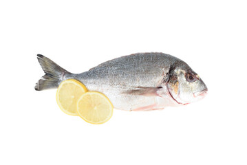 Lemon circles and peeled and poached dorada fish isolated on white background.