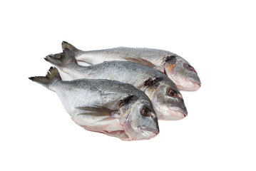 Three ready to cook dorado fish on white background.