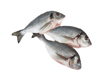 Top view of three dorado fish ready to cook on white background.