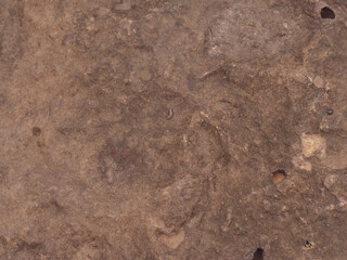 Brown stone texture for natural background showing organic products.    