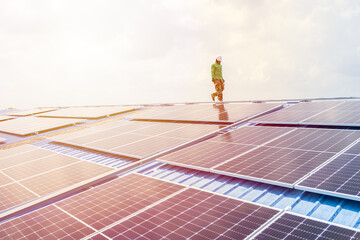 Professional Engineer Service Solar Panel. Worker Maintenance Cleaning Replacing Solar Panel. Solar...