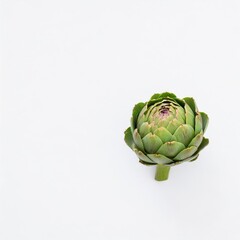 Fototapeta premium Artichoke isolated on white background