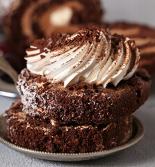 chocolate sponge roll with butter cream