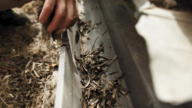 Man cleaning dirty house gutter 