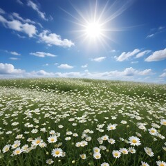 A field of white daisy flowers under a bright blue sky with fluffy white clouds