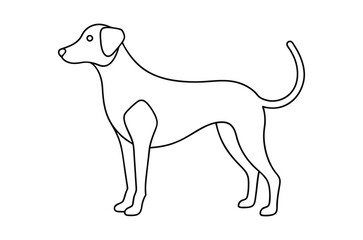 Dog Line art Drawing, continuous line drawing of dog, dogs vector