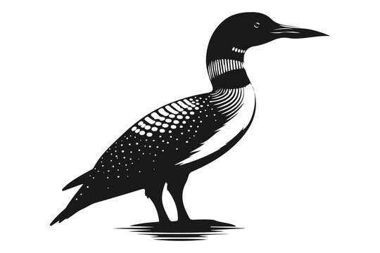 recommend clip art: loon silhouette vector illustration art isolated on transparent background - Generative AI
