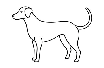 Dog Line art Drawing, continuous line drawing of dog, dogs vector
