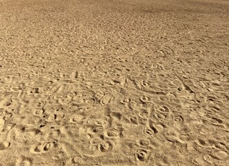 An empty dirt horse corral ground lies silent, its dusty surface showing hoof prints, evoking a rustic and tranquil atmosphere, waiting for the next spirited activity.
