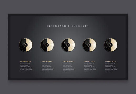 5 Step Workflow Infographic