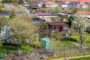 Many traditional german small garden allotment area with huts, tree flower vegetable growing at...