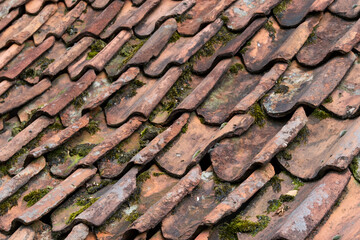 roof with old clay tiles and moss