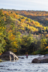 Woman fly fishing in river water during peak autumn foliage leaves in a mountain stream. Adventure and inspiring sport. One Woman.