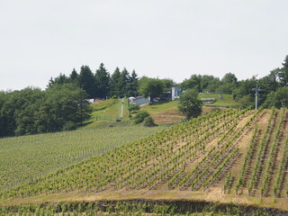 Stadt Saarburg an der Saar - inmitten von Weinbergen in Rheinland-Pfalz