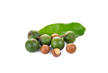 macadamia nuts on    transparent png