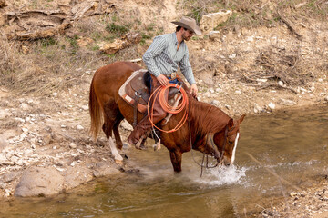 Texas Cowboy on Sorrel Horse riding in water