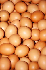 organic eggs, full frame macro, at the farm not washed before to be packed for retail