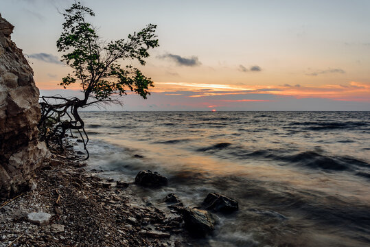 Tree on the rocky shore at sunrise